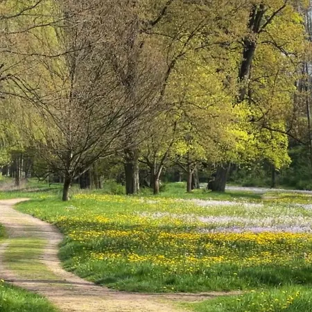 Ξενοδοχείο Palac Lomnica Karkonosze - Schloss Lomnitz Riesengebirge Wojanow