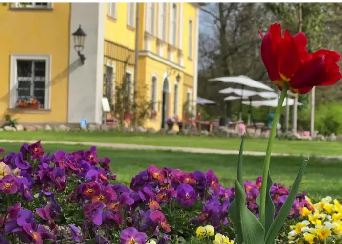 Palac Lomnica Karkonosze - Schloss Lomnitz Riesengebirge Szálloda Wojanów