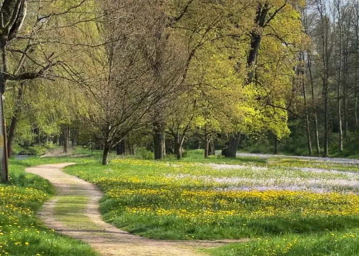 Szálloda Palac Lomnica Karkonosze - Schloss Lomnitz Riesengebirge Wojanów